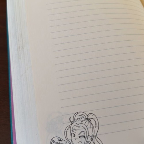 The Diary of a Wimpy Kid book like new