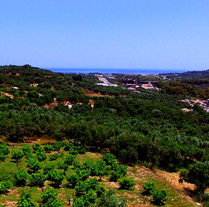ΠΕΡΙΟΧΗ ΠΡΟΦΗΤΗΣ (ΔΗΜΟΣ ΕΓΝΑΤΙΑΣ),ΠΩΛΕΙΤΑΙ ΟΙΚΟΠΕΔΟ 500τμ