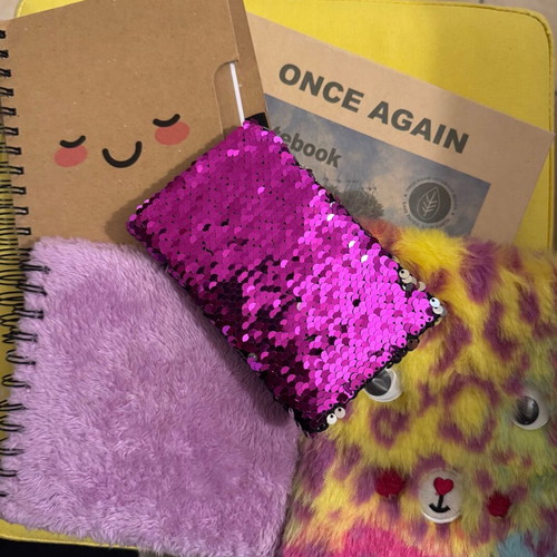 Notebooks used, set of six unique designs