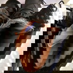  Άρβυλα Μέγεθος 44