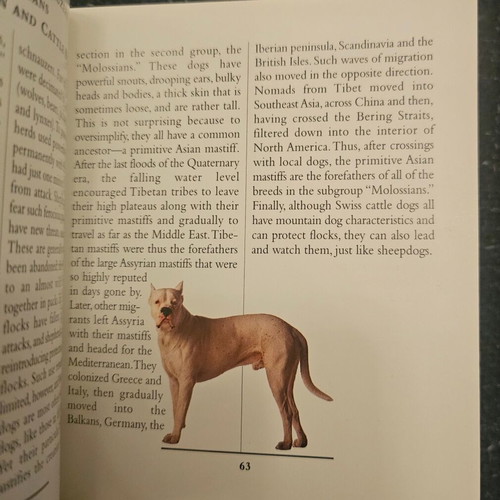 Book with dog breeds like new, small size, in English
