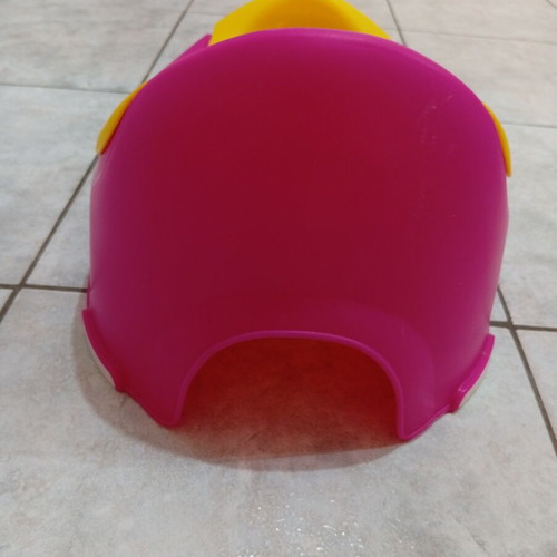 Large potty with removable container