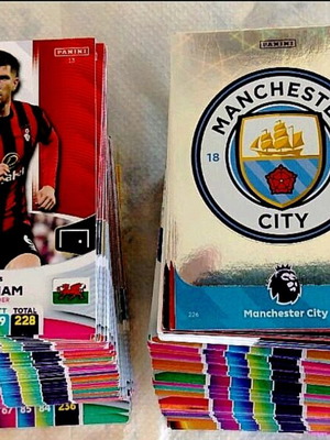 Premier League 2024 Supplement Cards like new