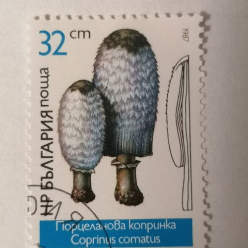 Stamp used