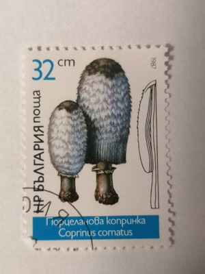 Stamp used