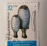 Stamp used