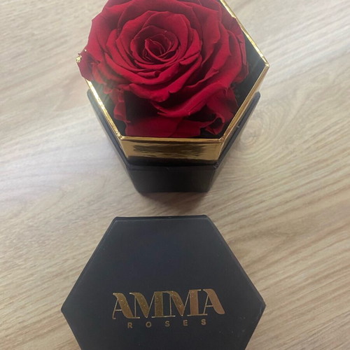 Amma Roses preserved red rose in hexagonal box like new