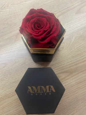 Amma Roses preserved red rose in hexagonal box like new