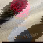  AMMA ROSES Endless  Less Is More Red