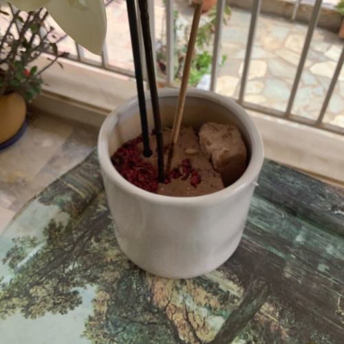 Decorative plastic orchid plant like new