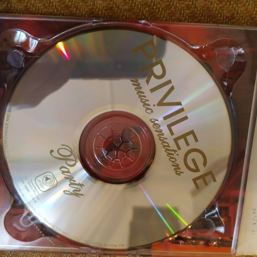 Privilege CD used, electronic music