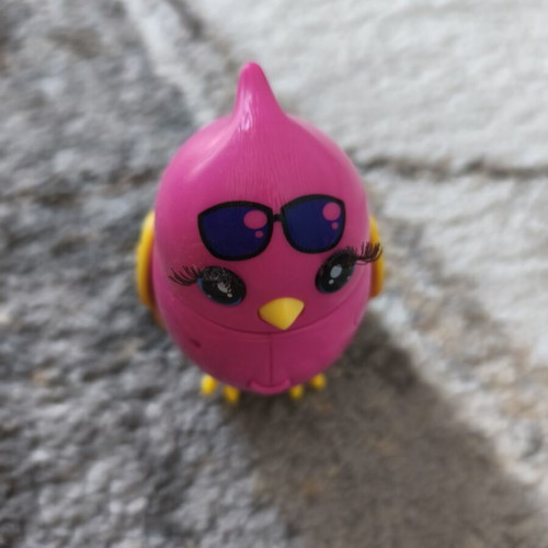 Little Live Pet Cocorito bird used interactive toy