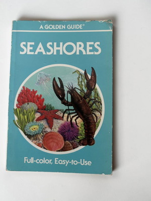 Seashores A Golden Guide βιβλίο μεταχειρισμένο, αγγλικά