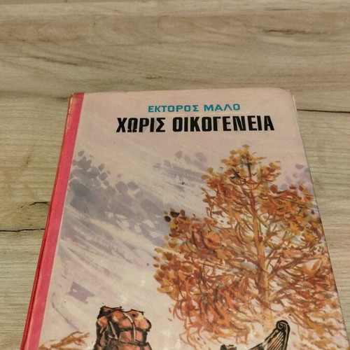 Children's novel Without Family used