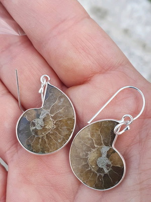 Σκουλαρίκια με τομές απολιθωμένων αμμωνιτών καινούργια με ευδιάκριτους θαλάμους