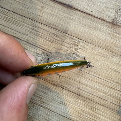 Tsurinoya Intruder 50S and 46S fishing lures