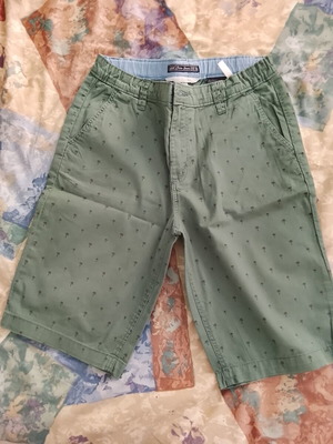 Παιδικό κοντό παντελόνι H&M Chino, πράσινο με φοίνικες