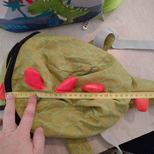 Insulated lunch bag and small backpack like new