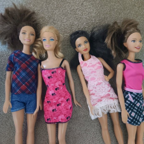 Barbie set used with 6 dolls, bicycle, pool and accessories