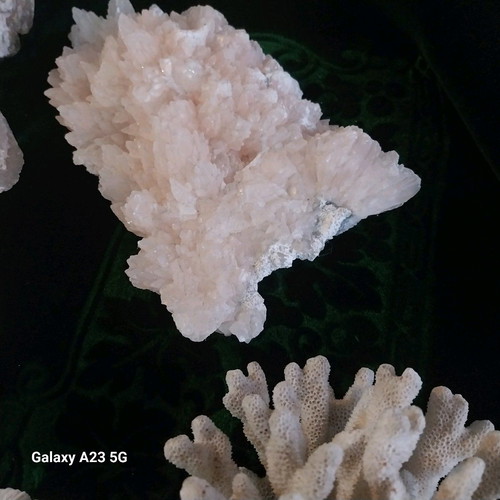 Coral and rock collection used, pack