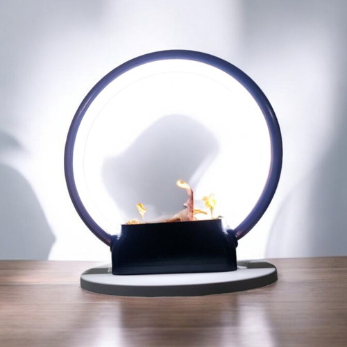 Eco Lumina table lamp new, biodegradable plastic design