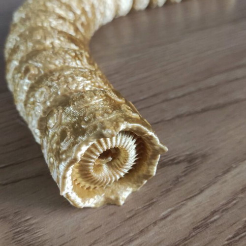 Dune sandworm new 3d printed with full movement freedom, 23 cm length