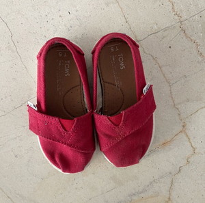 Baby toms