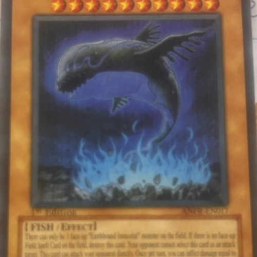 Earthbound Immortal Chacu Challhua Yu-Gi-Oh! card