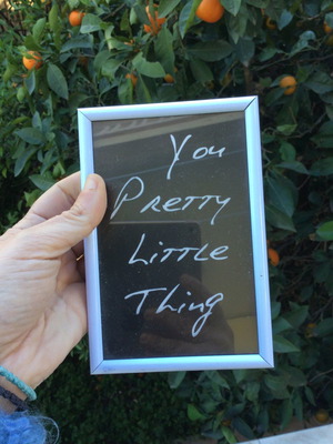 Рамка за снимки на художника