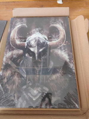 Displate Warriors Viking new