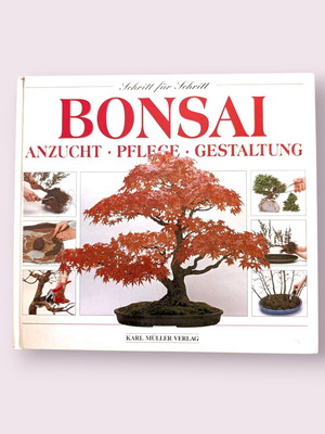 bonsai plants artificial Artificial : Yellow and Green Sideways Bonsai buy online plants and trees  at pixies Gardens