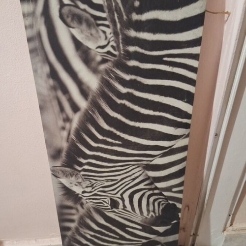 Canvas painting with zebras, like new, 30x90cm