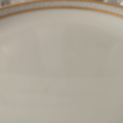 Ionia porcelain dinner set new, 19 pieces with gold finish