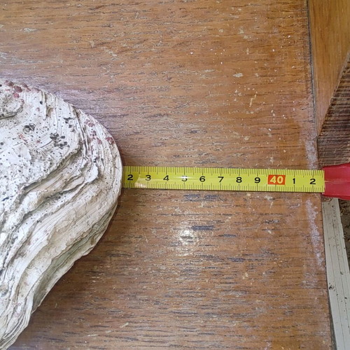 Fossilized giant pearl 35 cm like new