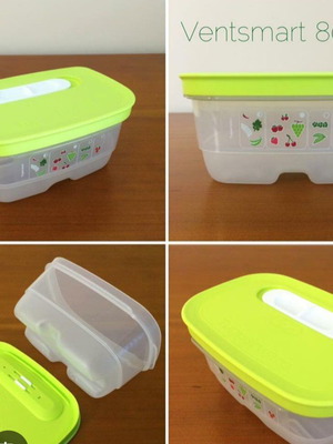 Tupperware smart cooling container 800ml new
