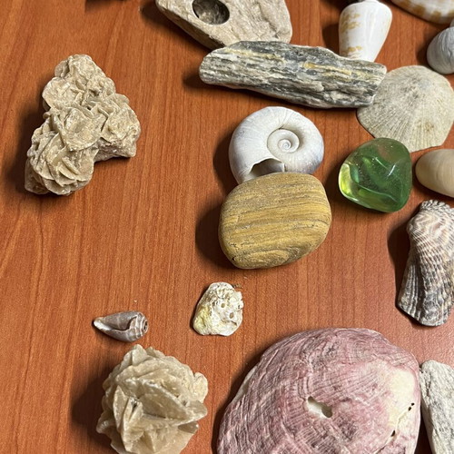 Σετ κοχύλια και πετρώματα μεταχειρισμένο, 35 τεμάχια