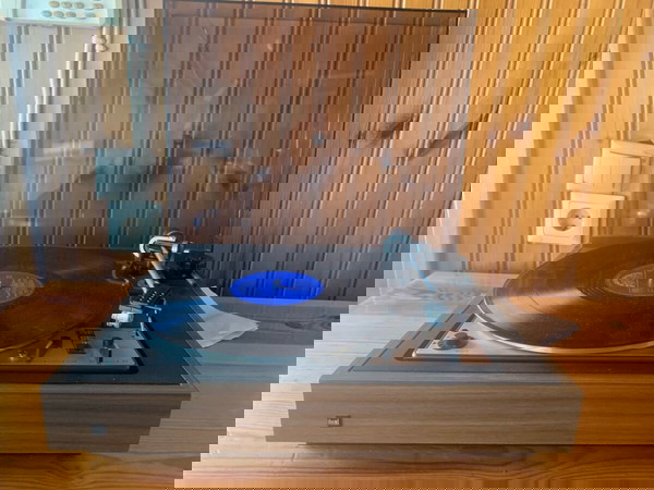 πικαπ dual1228