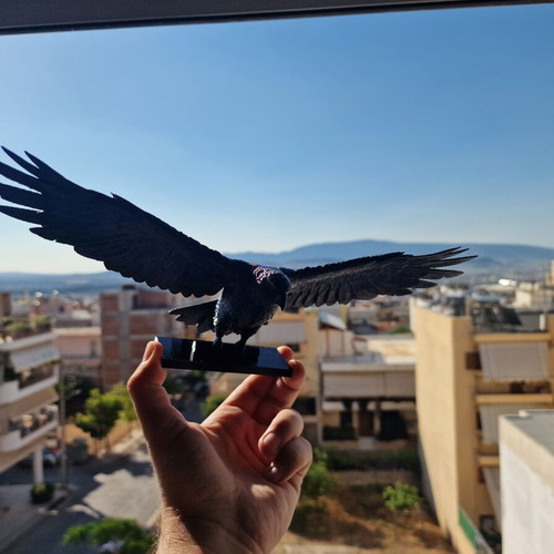 Eagle 3D PETG bird repellent and decorative for balcony