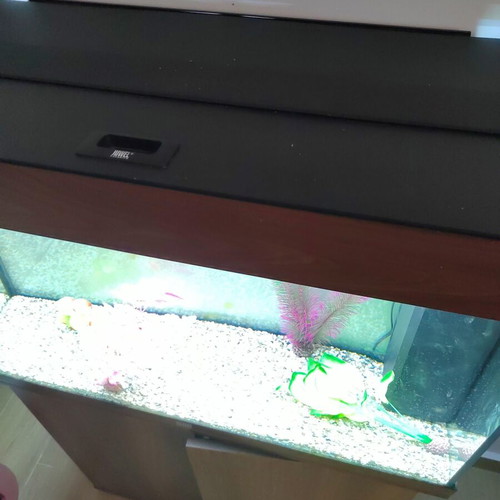Juwel Rio 125 LED Aquarium set like new with cabinet and extras