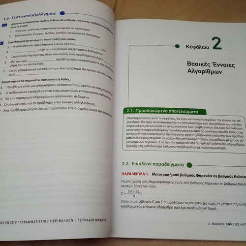 Application Development in Programming Environment Student Workbook Grade 12 like new