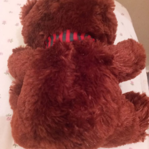 Teddy bear for kids like new