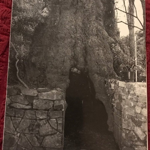Theofilos Chatzimichail book like new