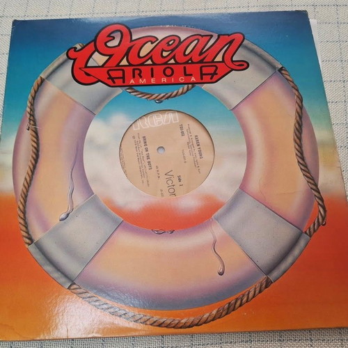 Karen Young Hot Shot 12' vinyl record used, R&B Soul