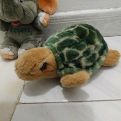 Stuffed animals used, pack of two, elephant and turtle