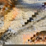  Πίνακας από puzzles,λύκος σε χιονισμένο τοπίο.