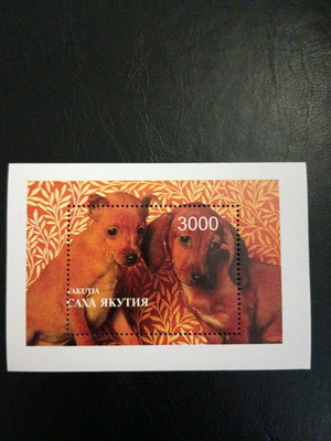 Russian philatelic stamps new, dog theme