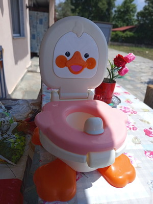 Duck-shaped potty chair