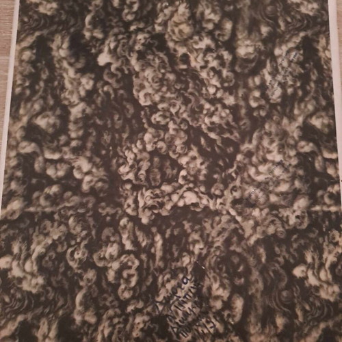 Nikytas educational school hardboard poster rare, like new