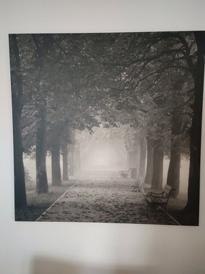 Πίνακας PJÄTTERYD της IKEA καινούργιος, ασπρόμαυρος με ομιχλώδες μονοπάτι 90×90