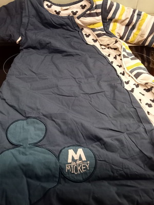 Υπνόσακος Disney Baby T2 Like New, 70 εκ, με αφαιρούμενα μανίκια